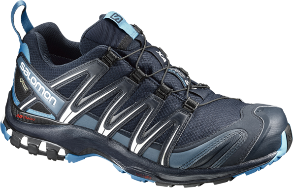 Salomon XA Pro 3D GTX
