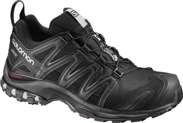 Salomon XA Pro 3D GTX