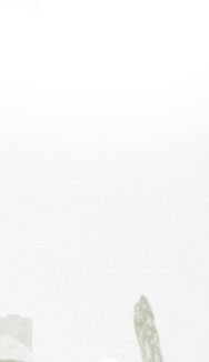 10 Jahre alberts inline shop - Chicago 1997