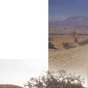 Maxxum: Marocco 1995, alberts inline shop