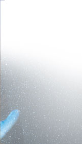 Maxxum: Marocco 1995, alberts inline shop