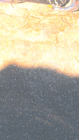 Maxxum: Marocco 1995, alberts inline shop