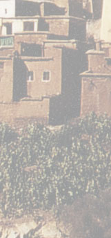 Maxxum: Marocco 1995, alberts inline shop