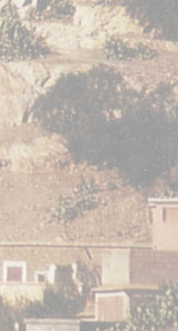 Maxxum: Marocco 1995, alberts inline shop