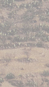 Maxxum: Marocco 1995, alberts inline shop