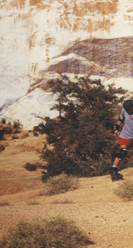 Maxxum: Marocco 1995, alberts inline shop