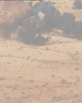 Maxxum: Marocco 1995, alberts inline shop