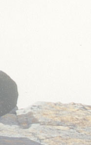 Maxxum: Marocco 1995, alberts inline shop