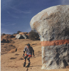 Maxxum: Marocco 1995, alberts inline shop