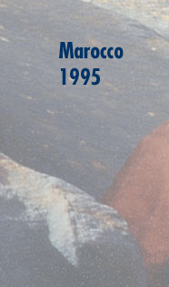 Maxxum: Marocco 1995, alberts inline shop