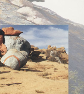 Maxxum: Marocco 1995, alberts inline shop