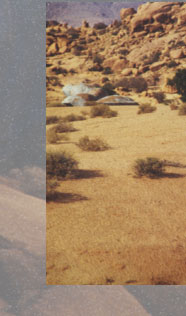 Maxxum: Marocco 1995, alberts inline shop