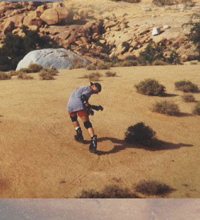 Maxxum: Marocco 1995, alberts inline shop