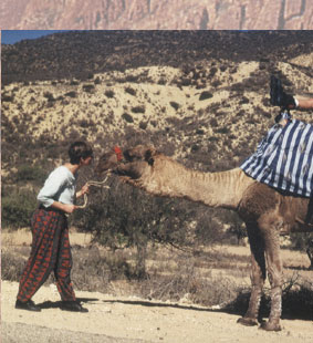 Maxxum: Marocco 1995, alberts inline shop