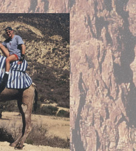 Maxxum: Marocco 1995, alberts inline shop