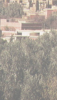 Maxxum: Marocco 1995, alberts inline shop