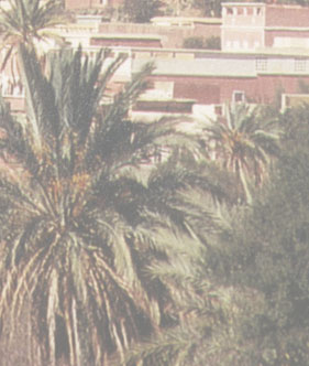 Maxxum: Marocco 1995, alberts inline shop