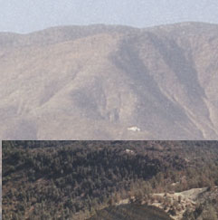 Maxxum: Marocco 1995, alberts inline shop