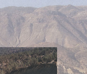 Maxxum: Marocco 1995, alberts inline shop