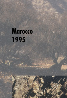 Maxxum: Marocco 1995, alberts inline shop