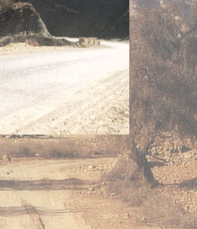 Maxxum: Marocco 1995, alberts inline shop