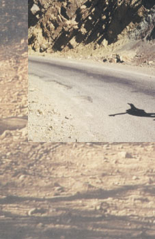 Maxxum: Marocco 1995, alberts inline shop