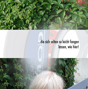 alberts inline shop Hasenhausen