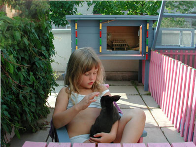 alberts inline shop Hasenhausen