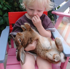 alberts inline shop Hasenhausen