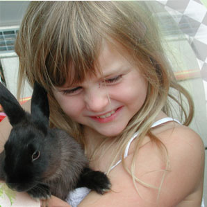 alberts inline shop Hasenhausen