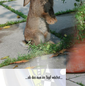 alberts inline shop Hasenhausen