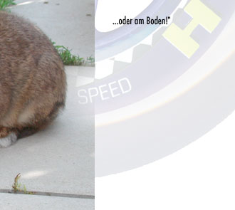 alberts inline shop Hasenhausen