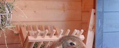 alberts inline shop Hasenhausen