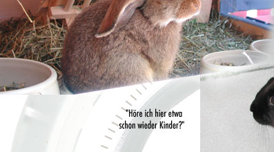 alberts inline shop Hasenhausen