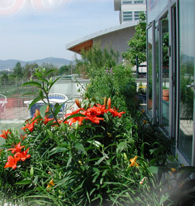 alberts inline shop Terrasse