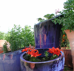 alberts inline shop Terrasse