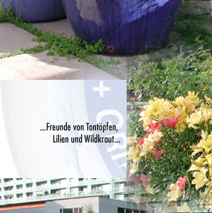 alberts inline shop Terrasse