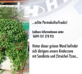 alberts inline shop Terrasse